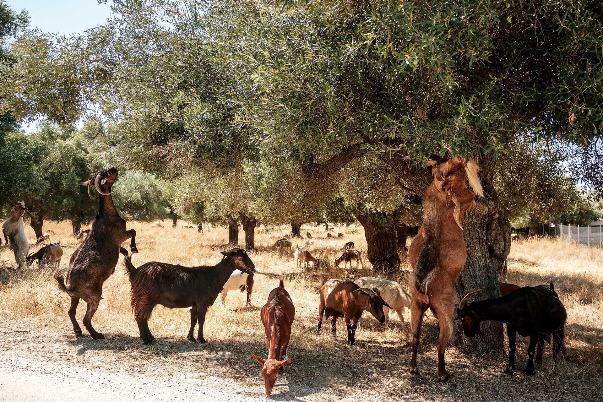 «Πώς τα περάσατε;»: 20 μικρές ιστορίες διακοπών-3