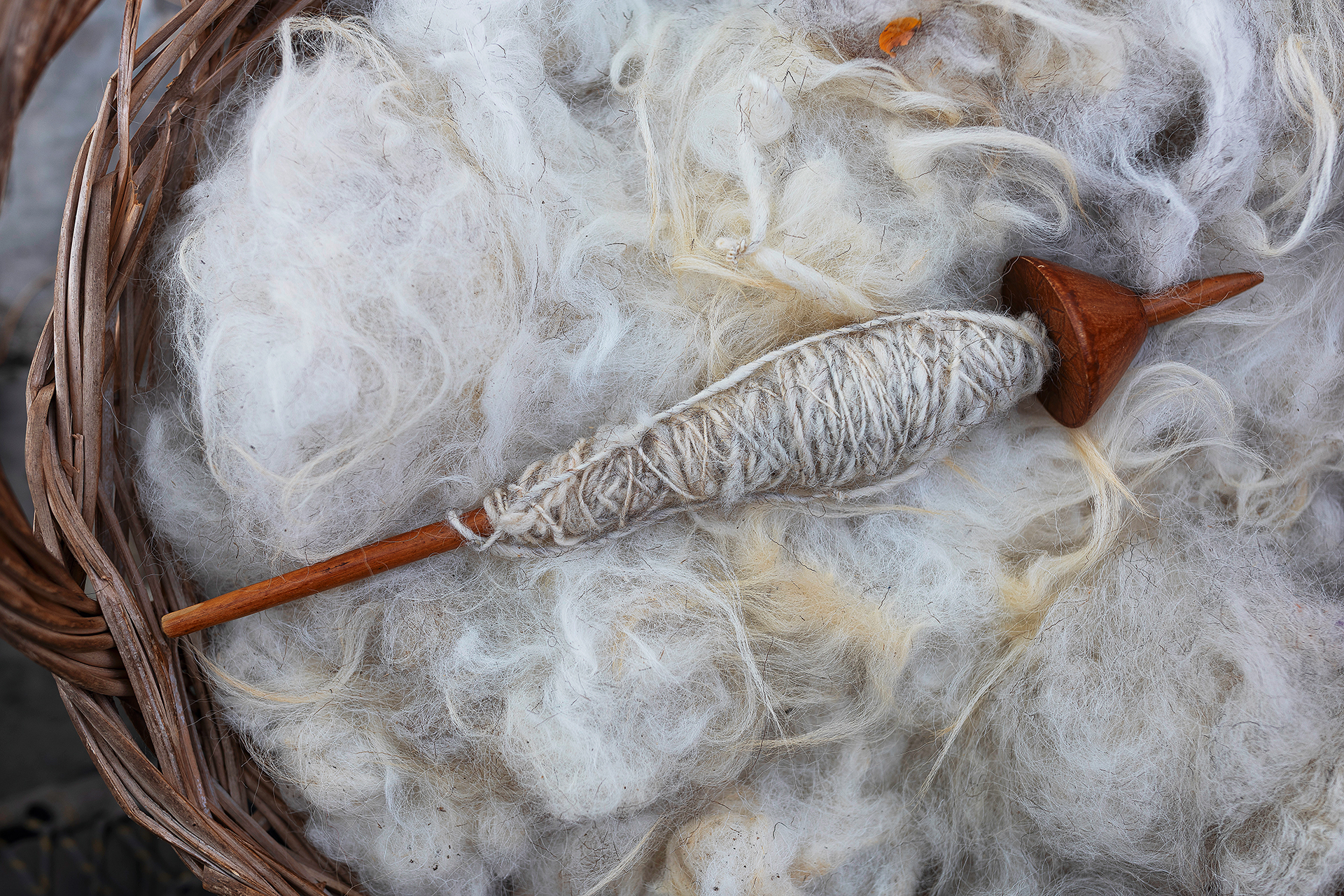 Γιατί το μέλλον μας διαγράφεται «μάλλινο»-1