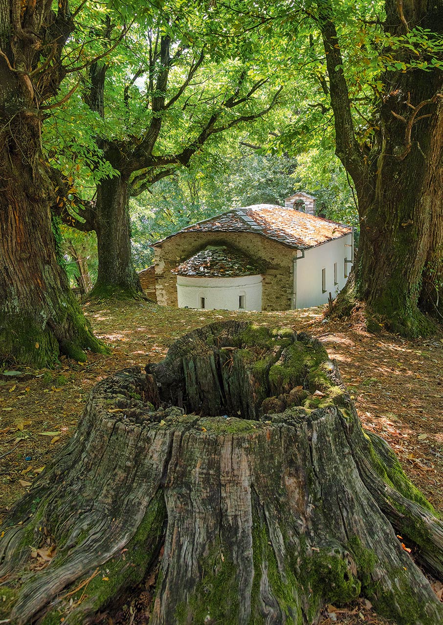 Η επόμενη μέρα του Ανατολικού Πηλίου μετά την κακοκαιρία Ντάνιελ-3