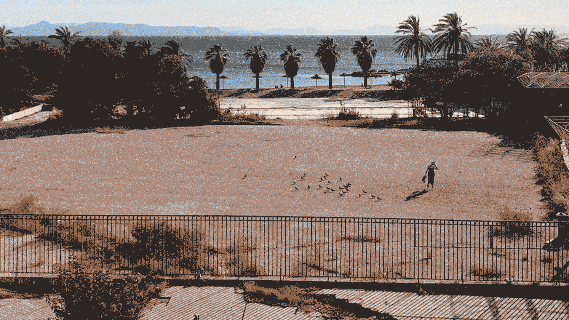 οι-τελευταίες-καρτ-ποστάλ-της-αθηνα-563794012