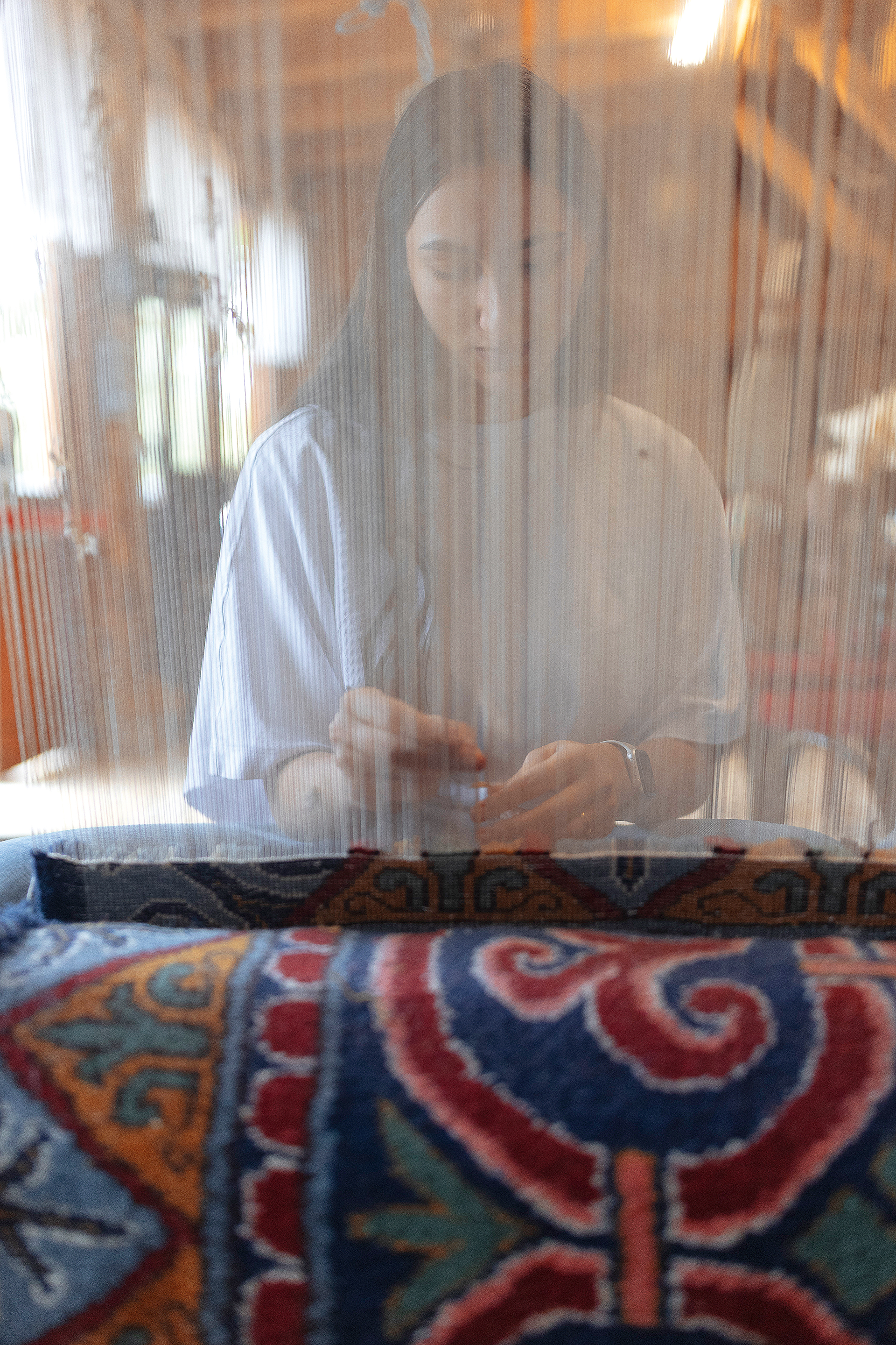 Γιατί το μέλλον μας διαγράφεται «μάλλινο»-2