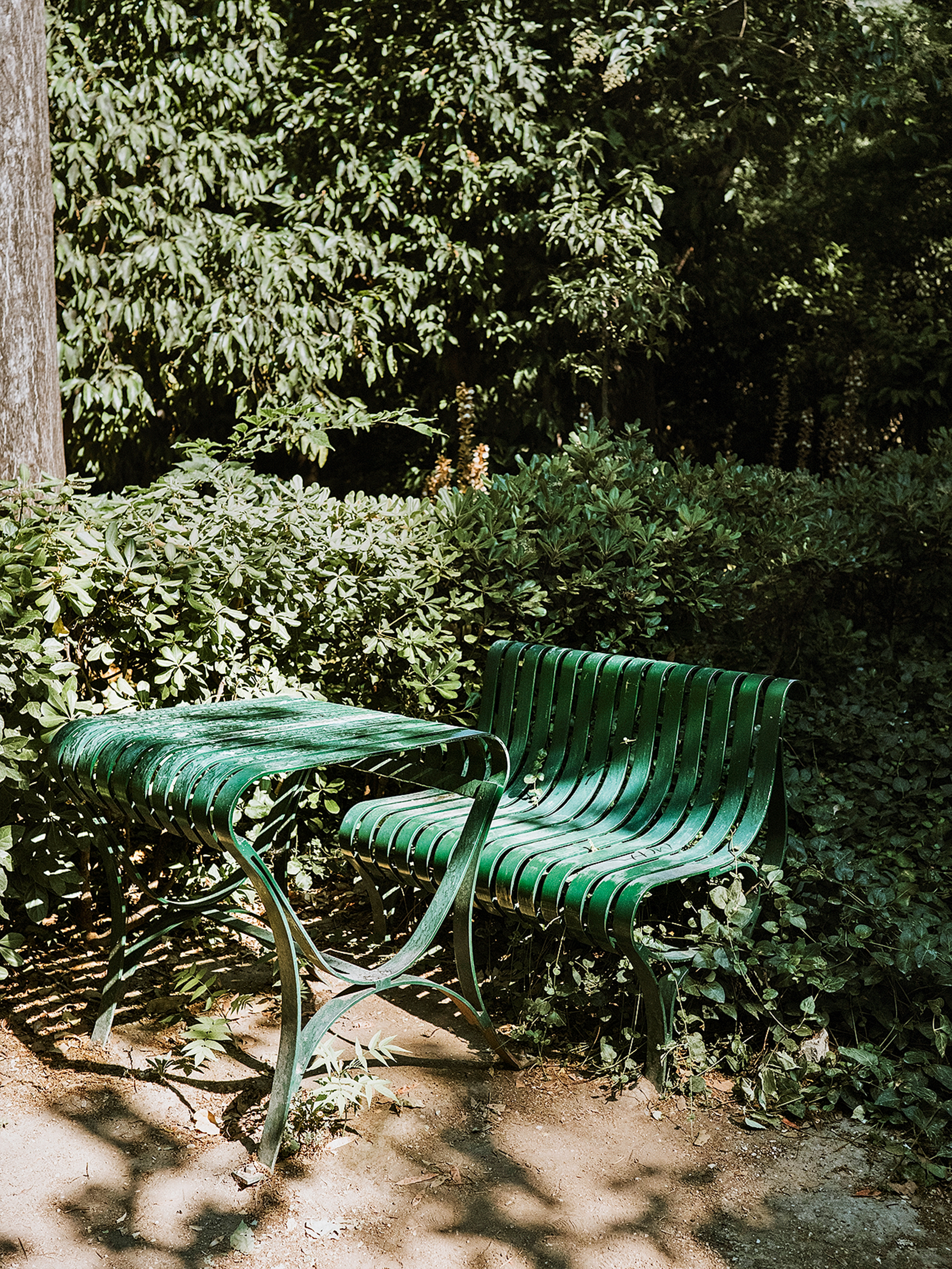 Έχει ακόμα μυστικά ο Εθνικός Κήπος;-10