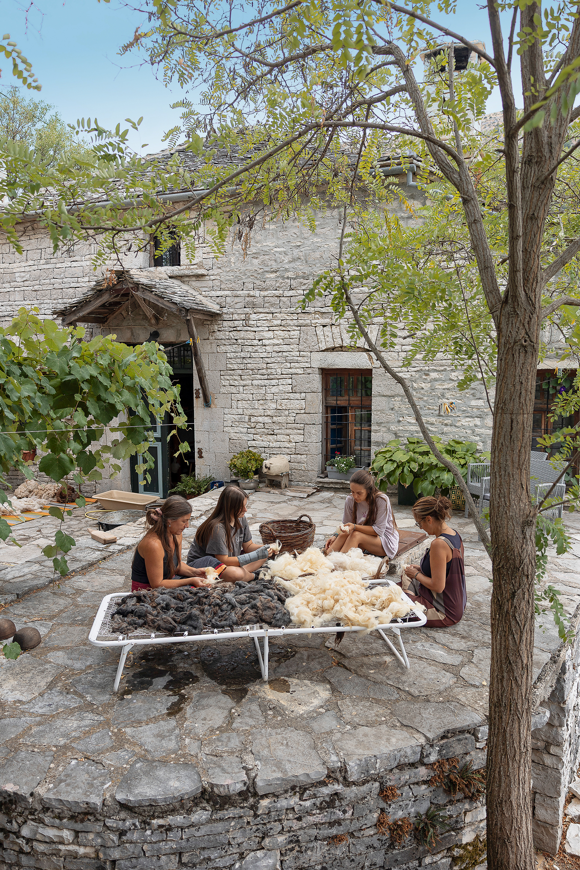 Γιατί το μέλλον μας διαγράφεται «μάλλινο»-4