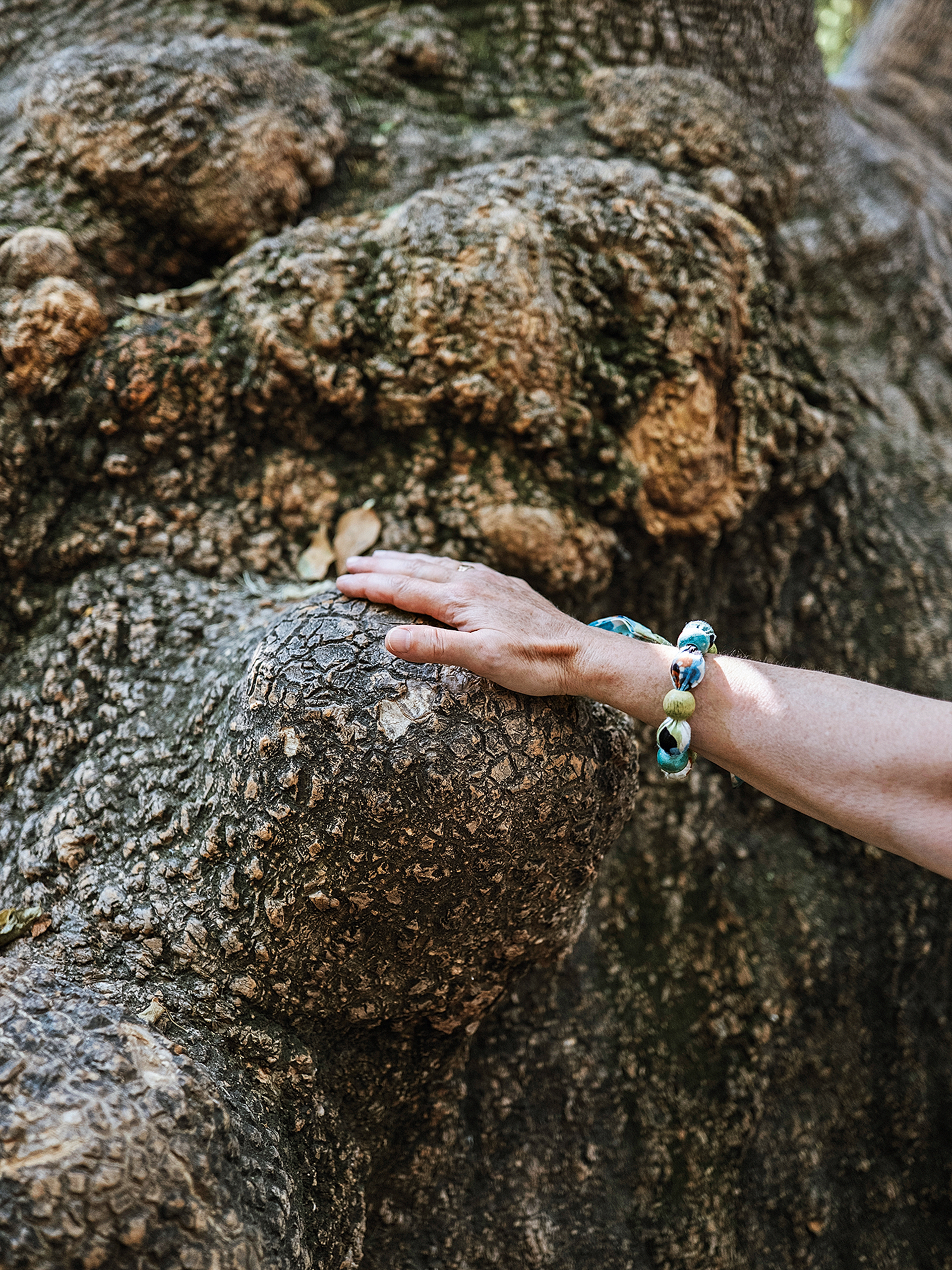 Έχει ακόμα μυστικά ο Εθνικός Κήπος;-13