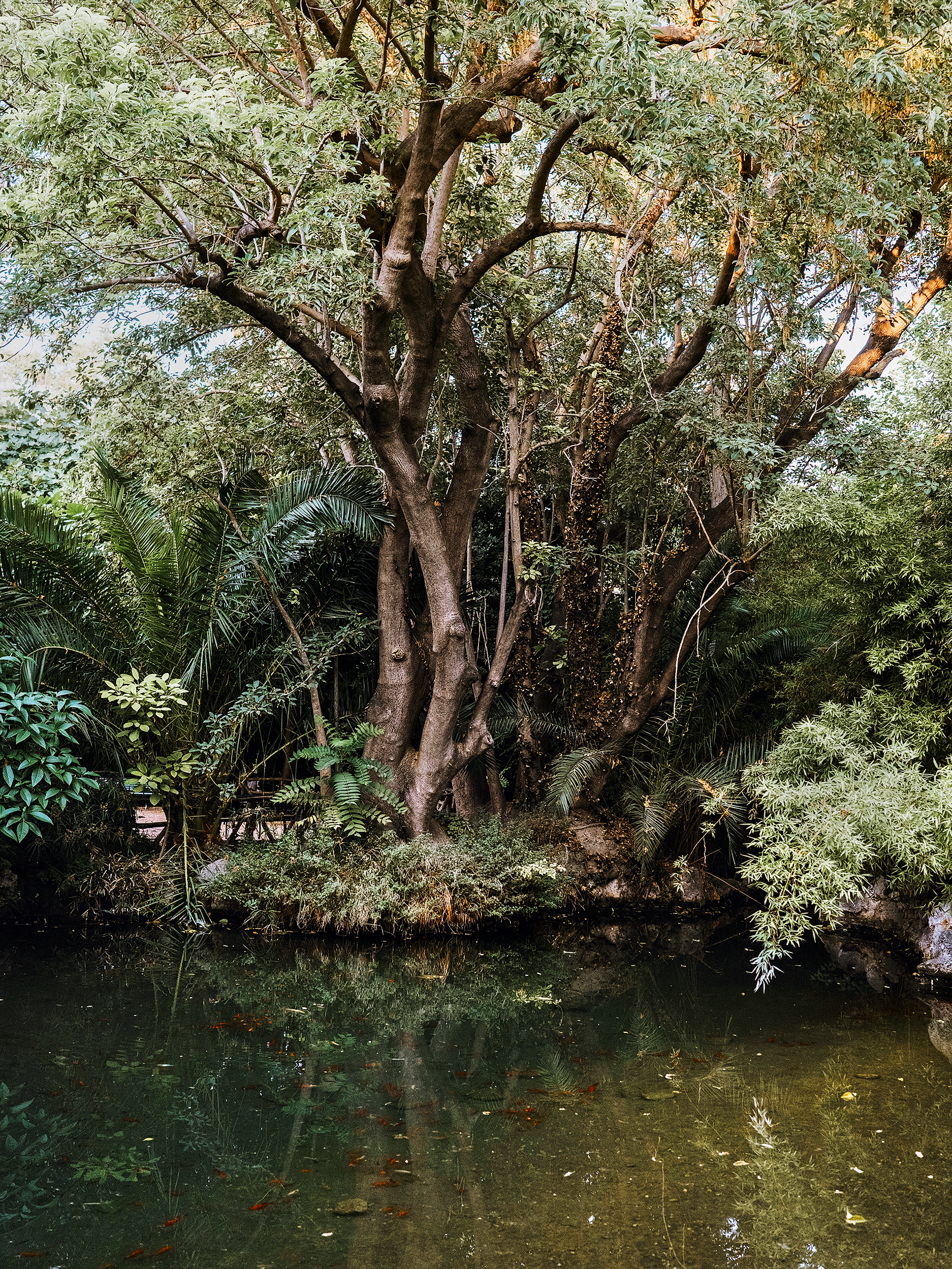 Έχει ακόμα μυστικά ο Εθνικός Κήπος;-14