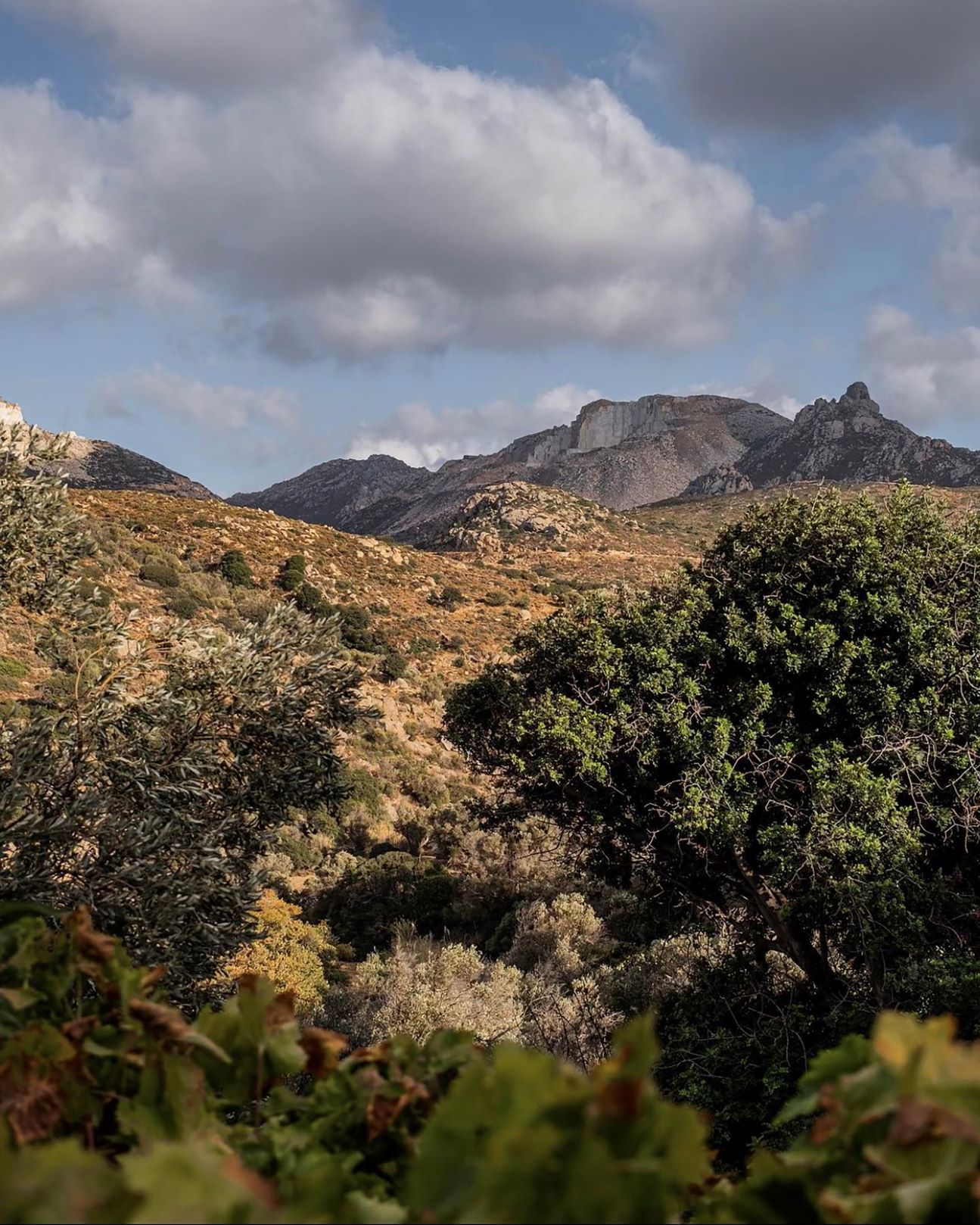 Μαρία Πολυκρέτη. Μια Ναξιώτισσα που τιμά το παρελθόν με ένα φεστιβάλ-1