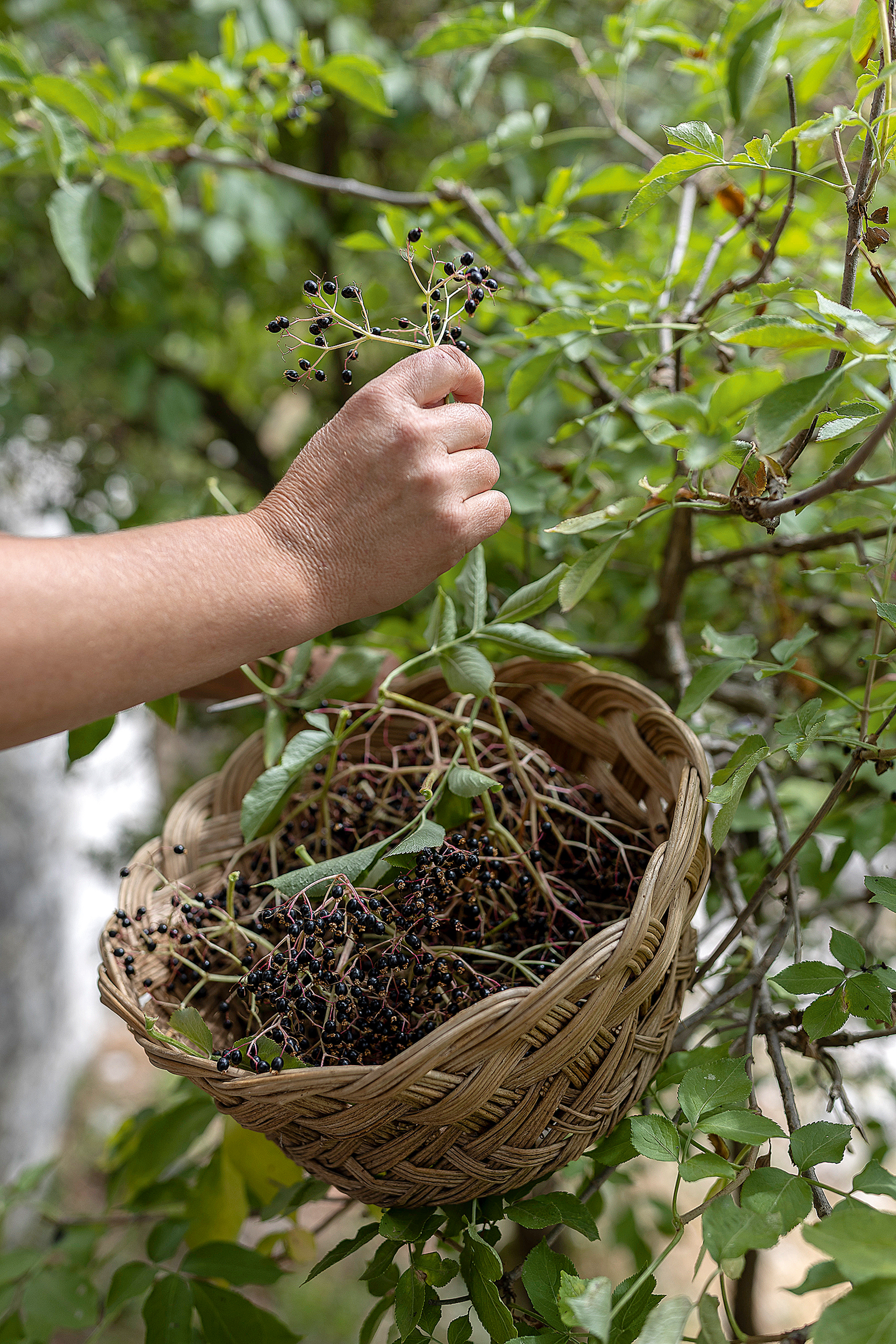 Γιατί το μέλλον μας διαγράφεται «μάλλινο»-10