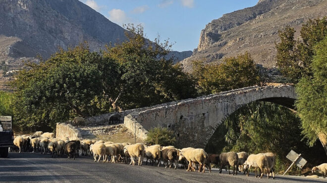 οπεκεπε-οικόπεδο-στη-μύκονο-δηλώθηκε-563815276