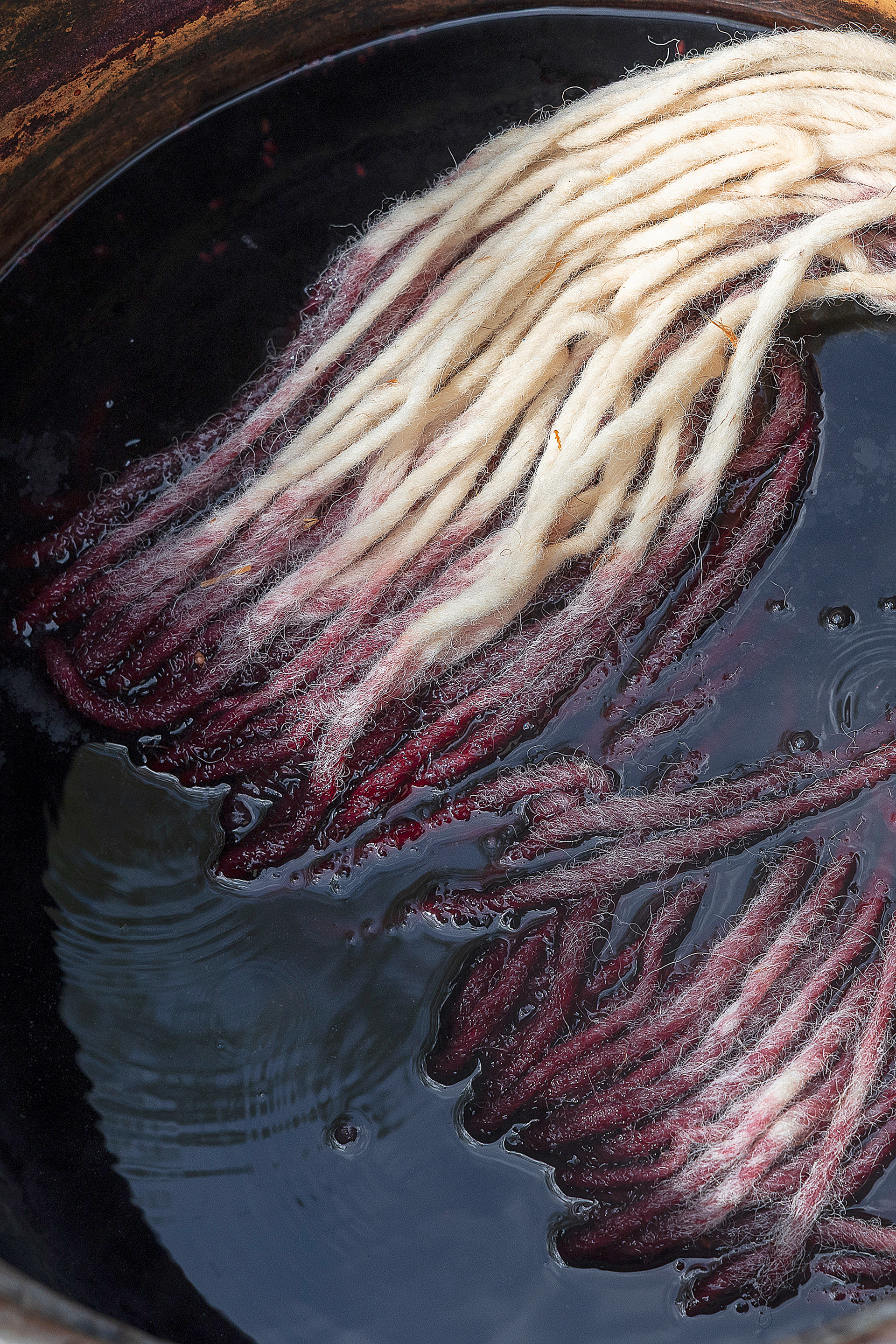 Γιατί το μέλλον μας διαγράφεται «μάλλινο»-11