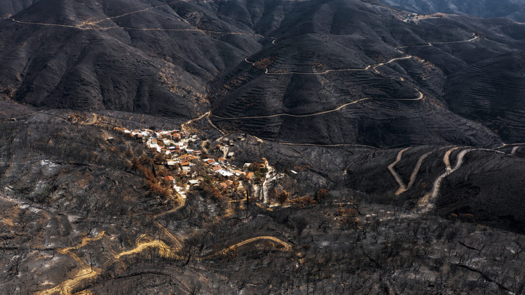 θα-ξαναγεννηθεί-η-χίος-μετά-την-καταστ-563833540