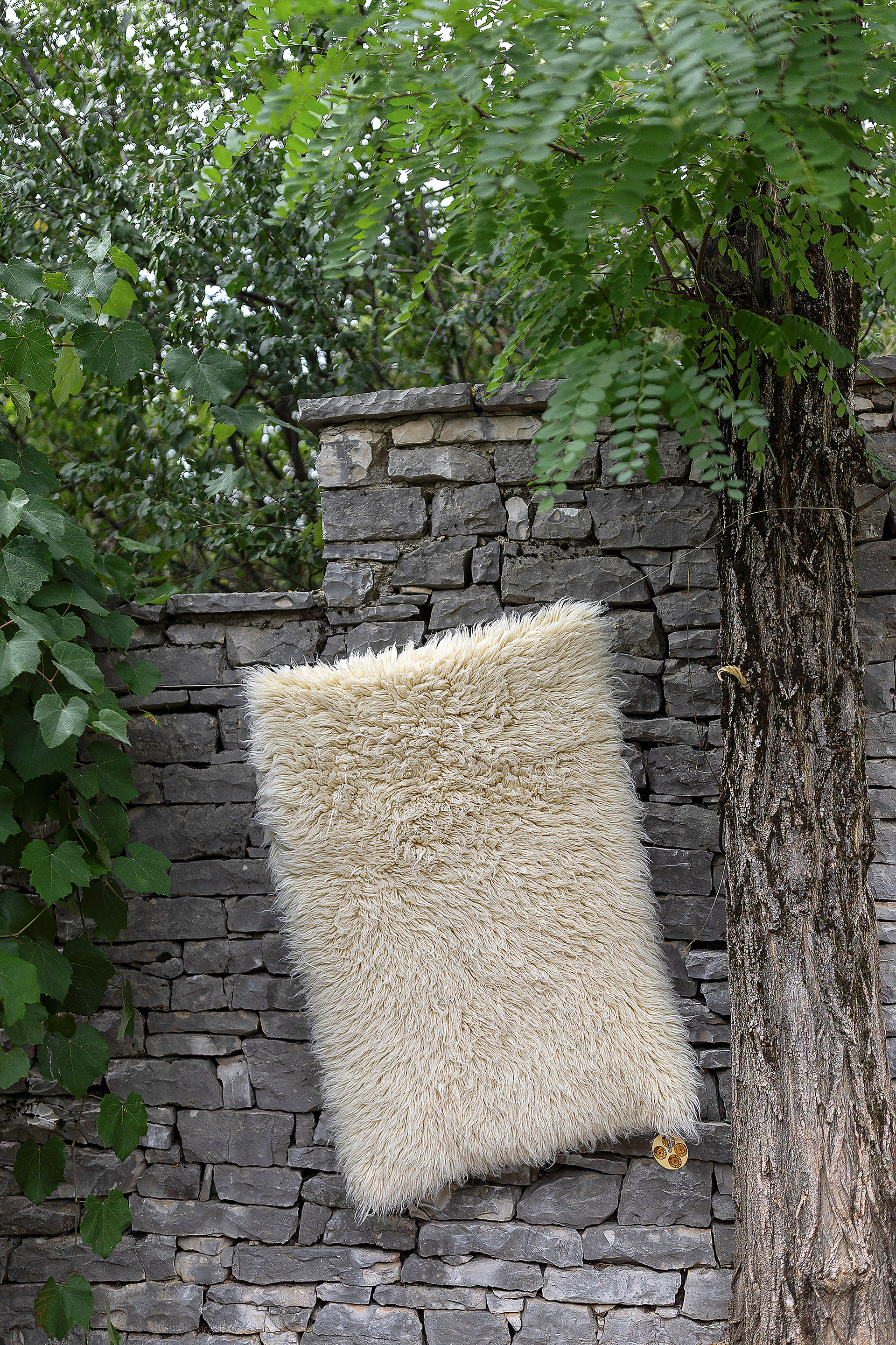 Γιατί το μέλλον μας διαγράφεται «μάλλινο»-12