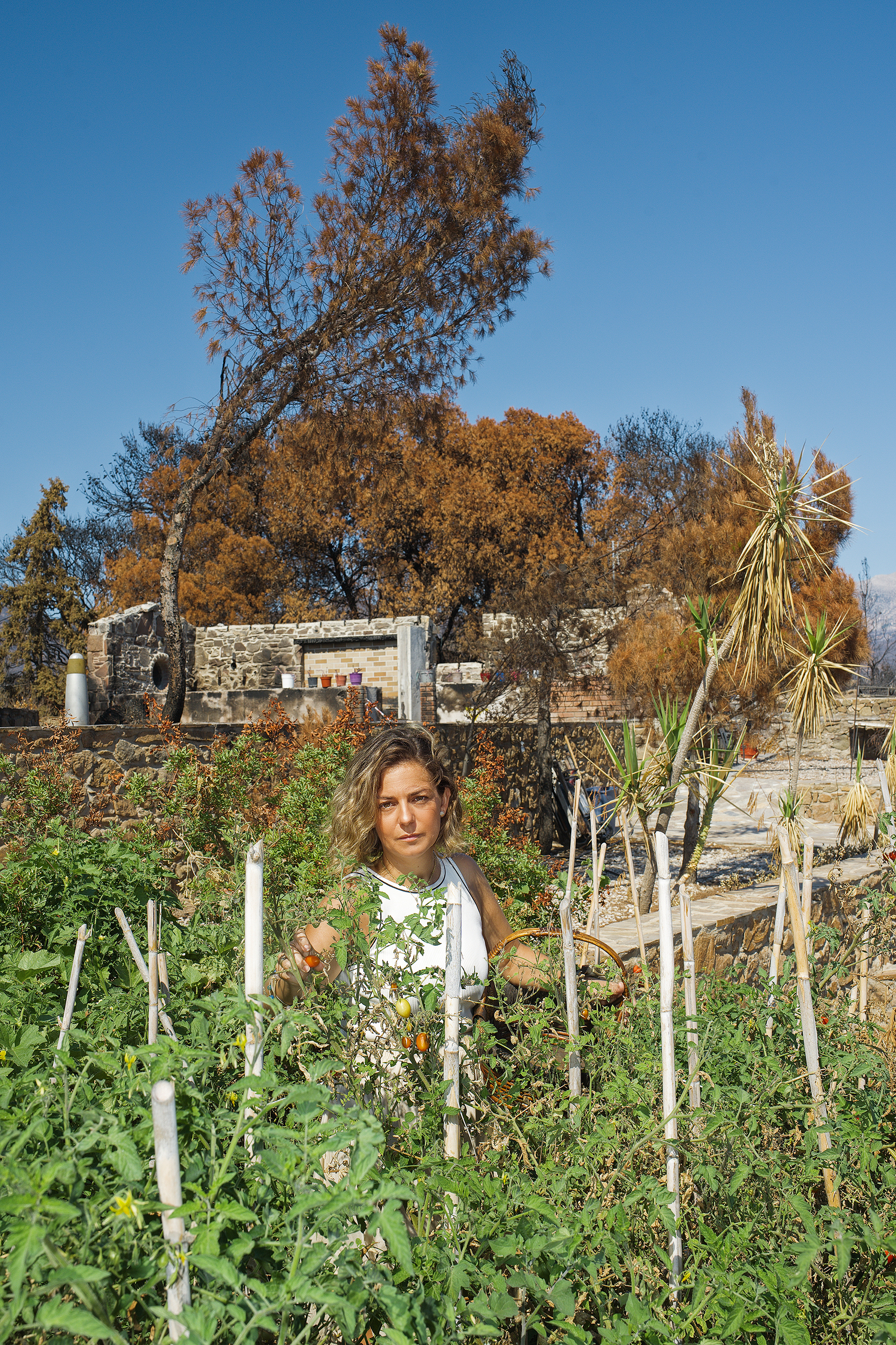 Θα ξαναγεννηθεί η Χίος μετά την καταστροφική πυρκαγιά;-1