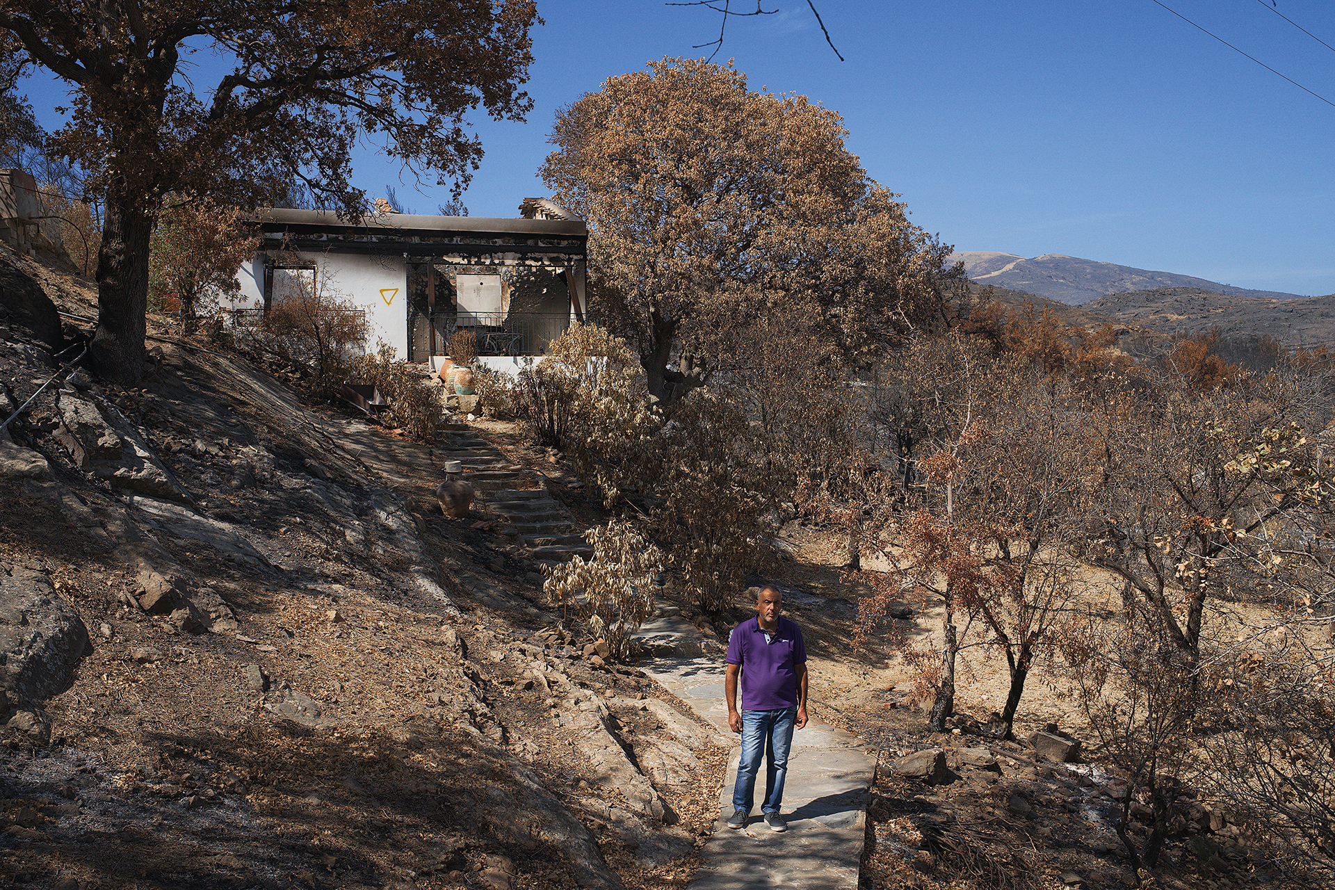 Θα ξαναγεννηθεί η Χίος μετά την καταστροφική πυρκαγιά;-2