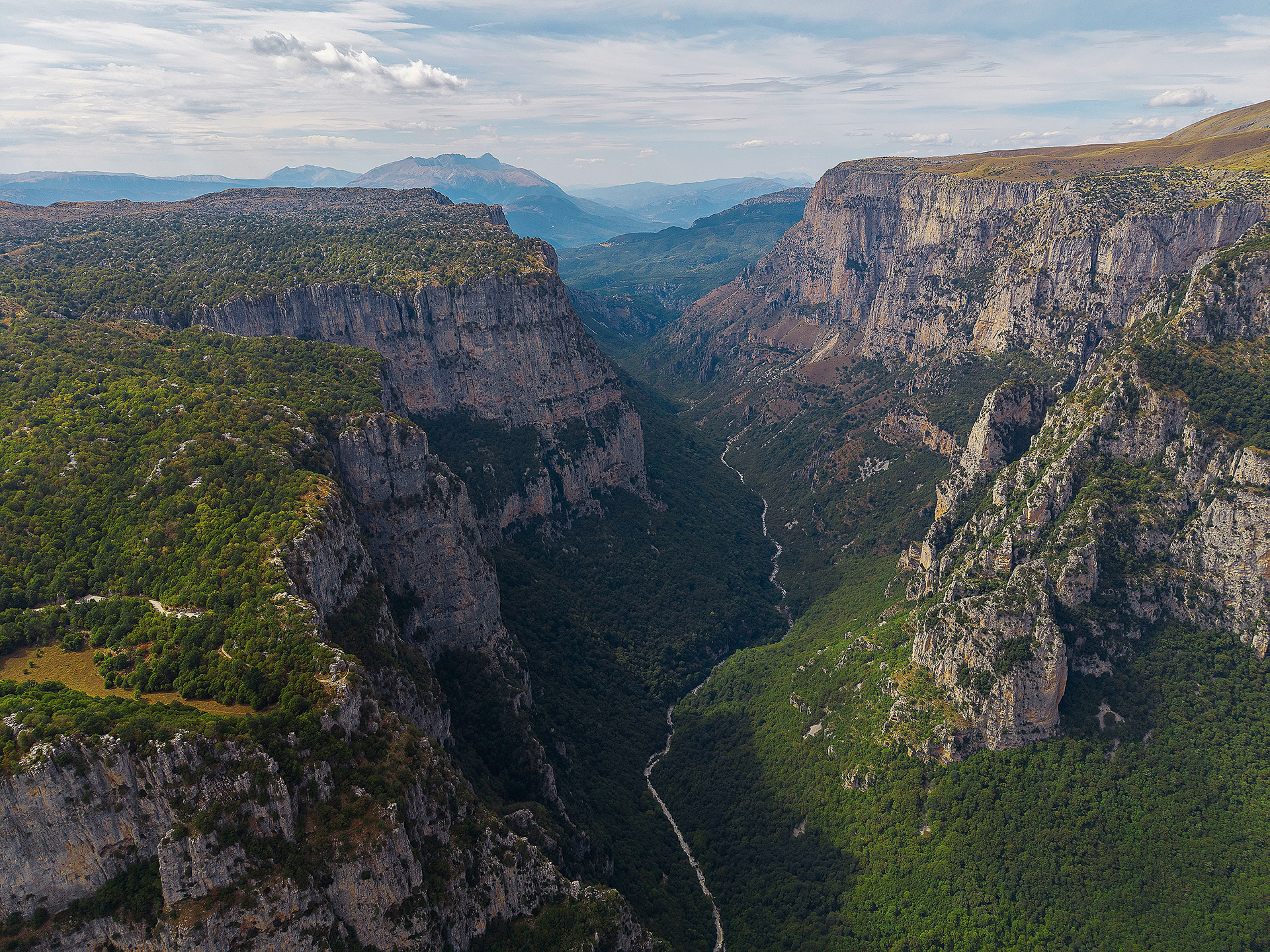 Γιατί το μέλλον μας διαγράφεται «μάλλινο»-15