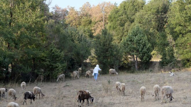για-ένα-μεροκάματο-του-τρόμου-563812372