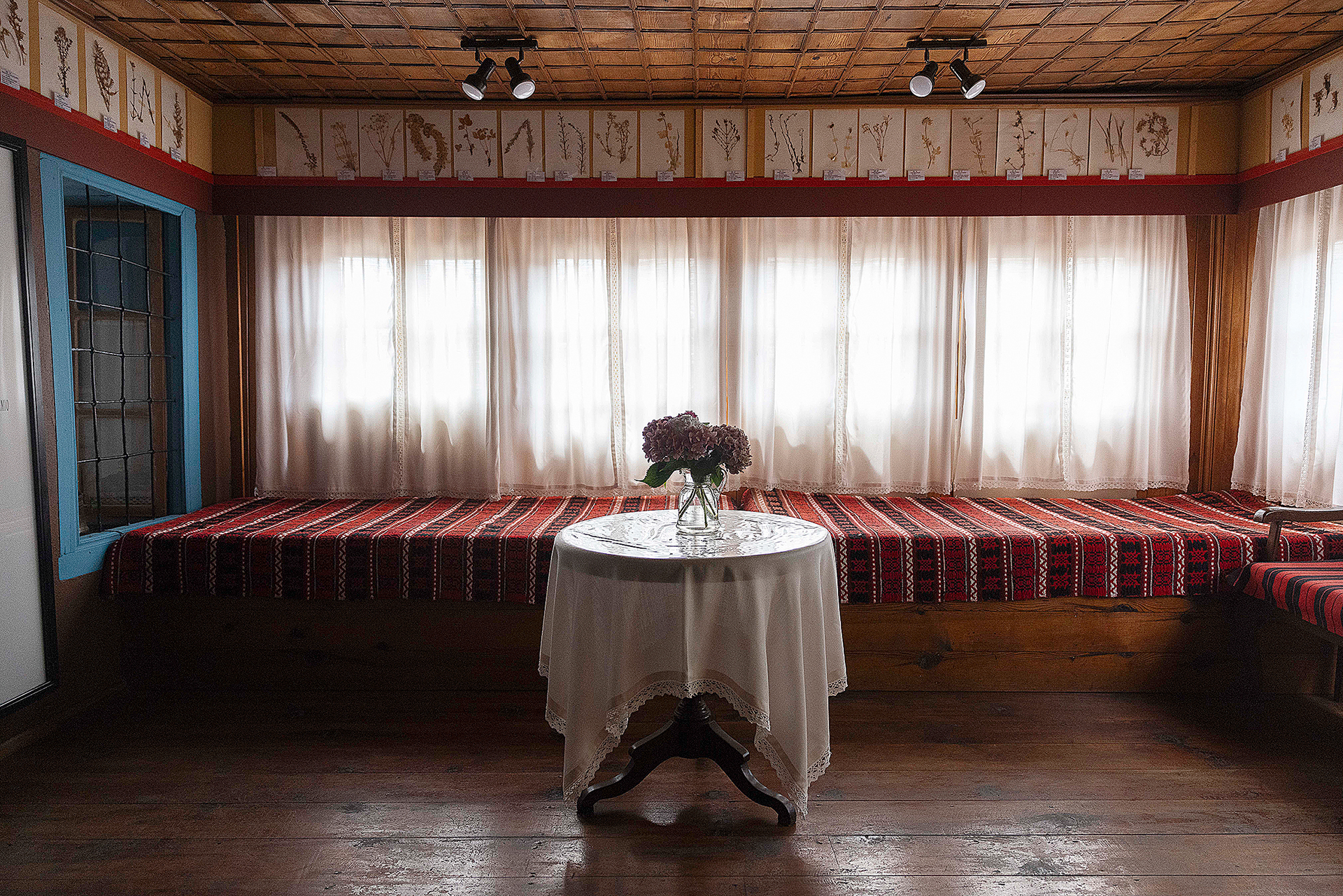 Γιατί το μέλλον μας διαγράφεται «μάλλινο»-16