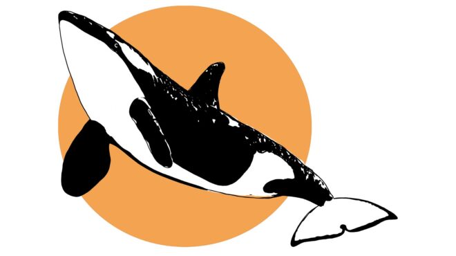 γιατί-οι-όρκες-κάνουν-δώρα-σε-ανθρώπου-563796391