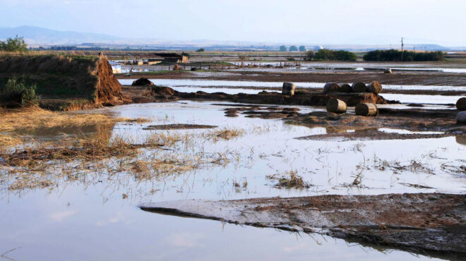 ανοιχτές-πληγές-δύο-χρόνια-μετά-τον-daniel-563805358