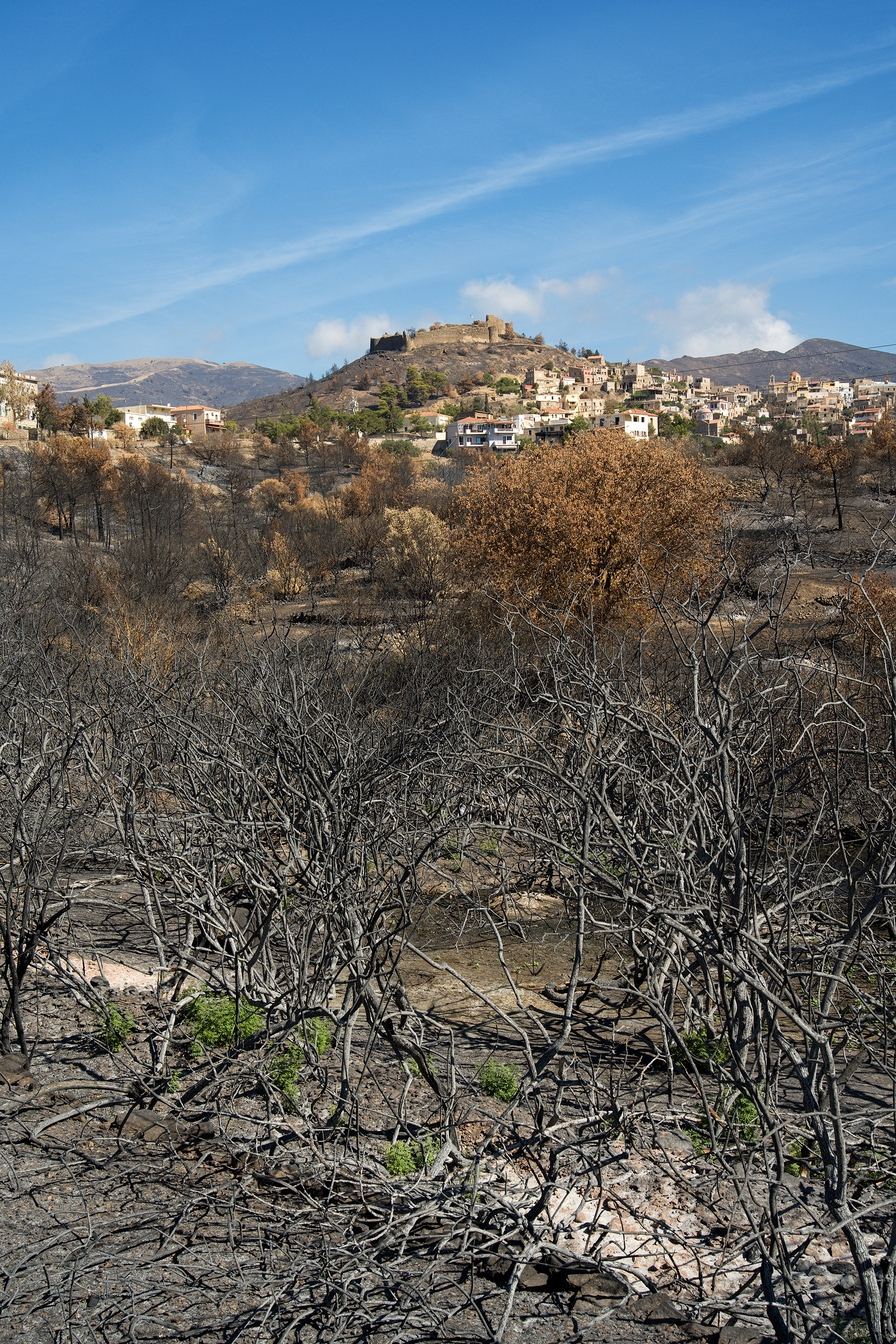 Θα ξαναγεννηθεί η Χίος μετά την καταστροφική πυρκαγιά;-9