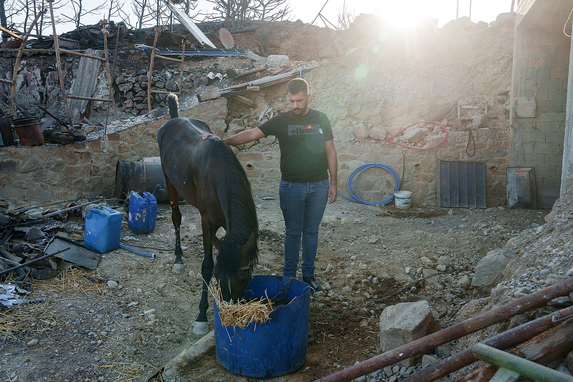 Θα ξαναγεννηθεί η Χίος μετά την καταστροφική πυρκαγιά;-12