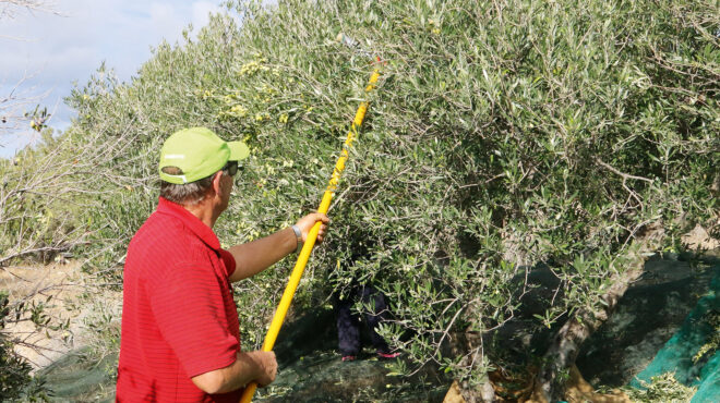 αύξηση-εισφορών-το-2026-για-18-εκατ-μη-μισθω-563838310