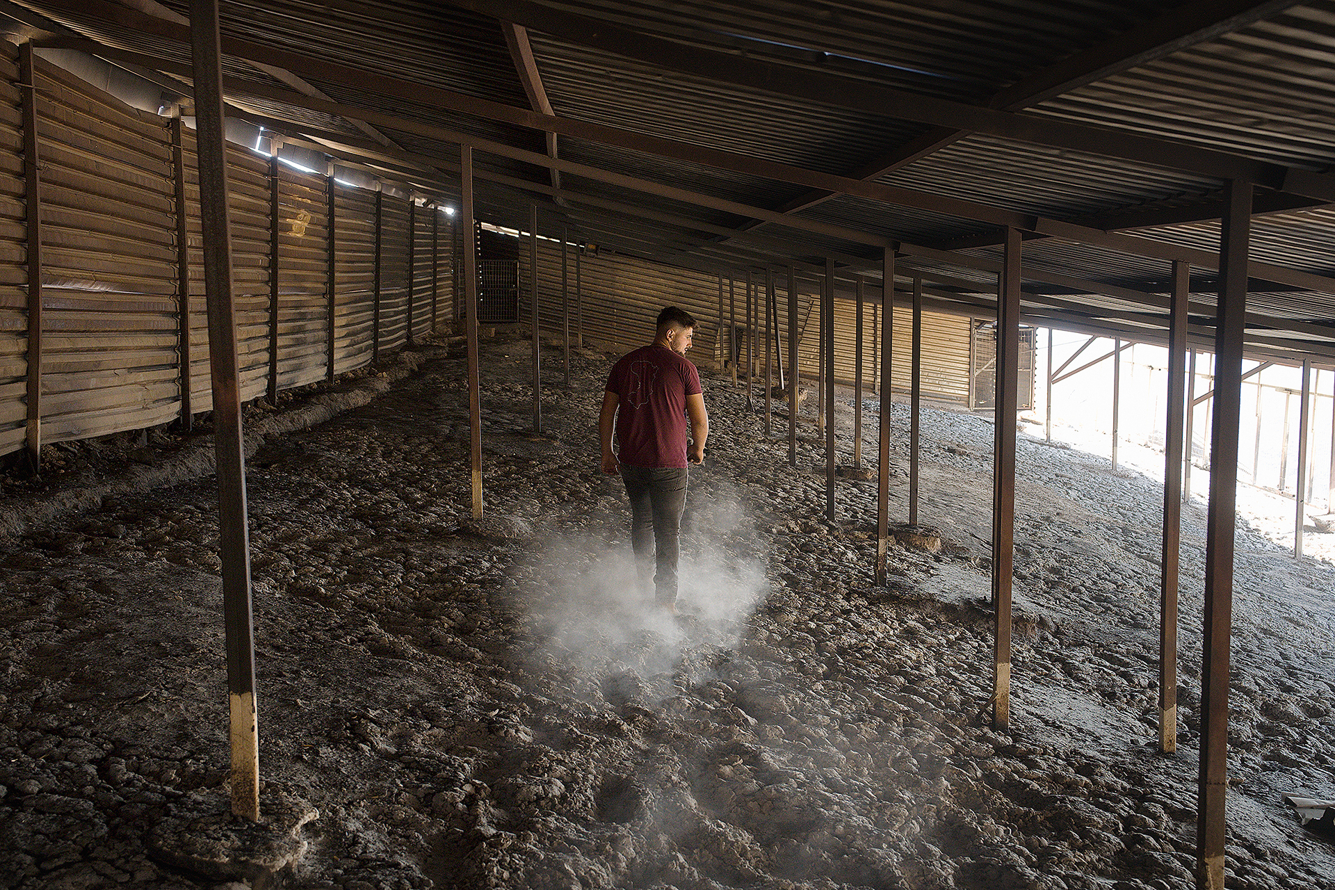 Θα ξαναγεννηθεί η Χίος μετά την καταστροφική πυρκαγιά;-11