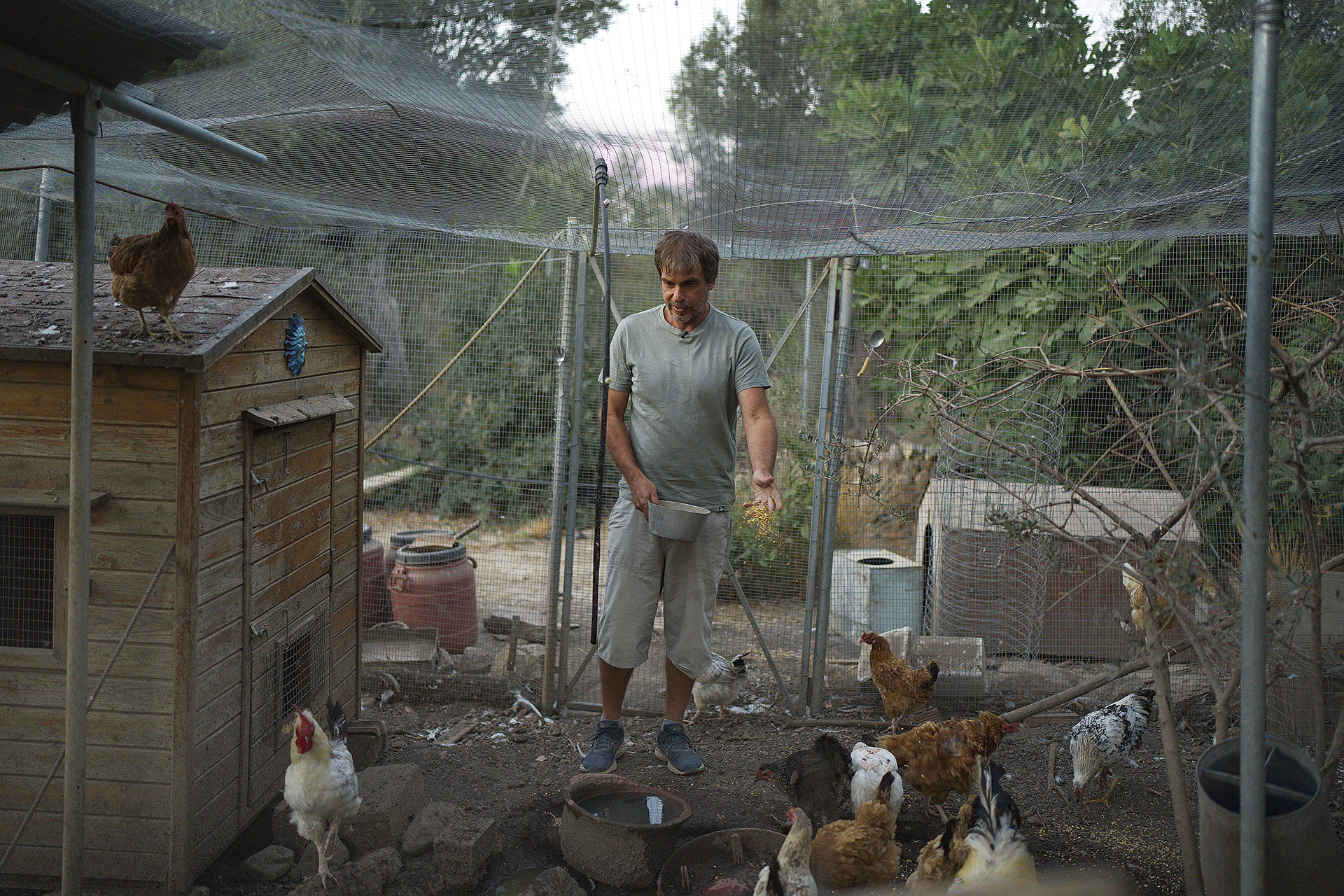 Θα ξαναγεννηθεί η Χίος μετά την καταστροφική πυρκαγιά;-13