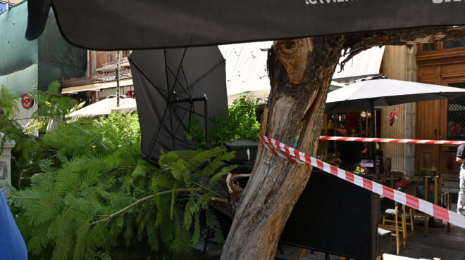 δύο-τραυματίες-από-πτώση-δέντρου-στο-κ-563825200