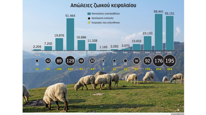 η-ευλογιά-των-προβάτων-περνάει-στο-ράφ-563817376