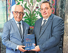 Στοχασμός και προμόσιον-1