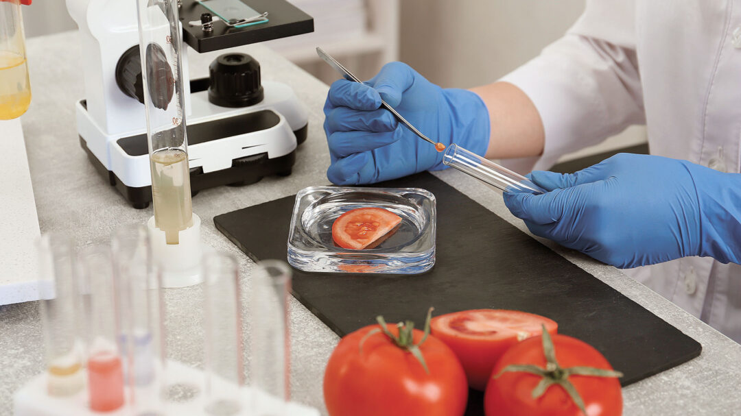 εϊμι-γουέμπ-στην-κ-σαν-συγγραφή-της-ζ-563798056