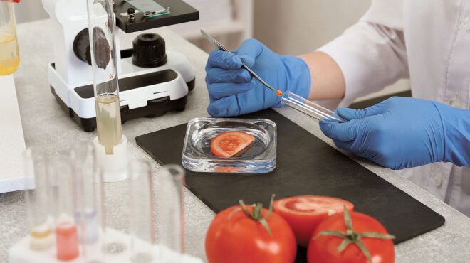 εϊμι-γουέμπ-στην-κ-σαν-συγγραφή-της-ζ-563798056