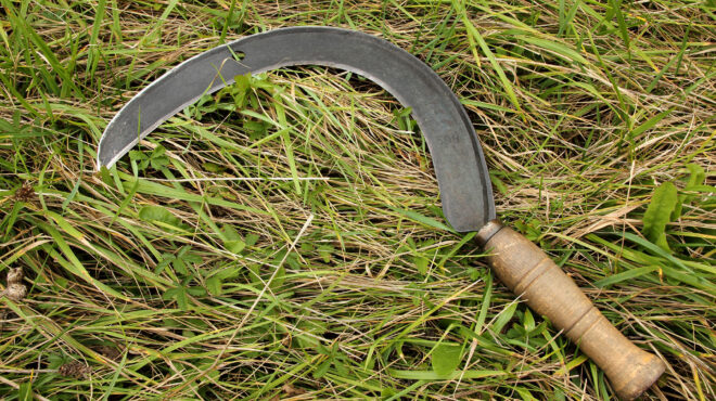 άγριος-καβγάς-στο-ηράκλειο-του-επιτέ-563822071