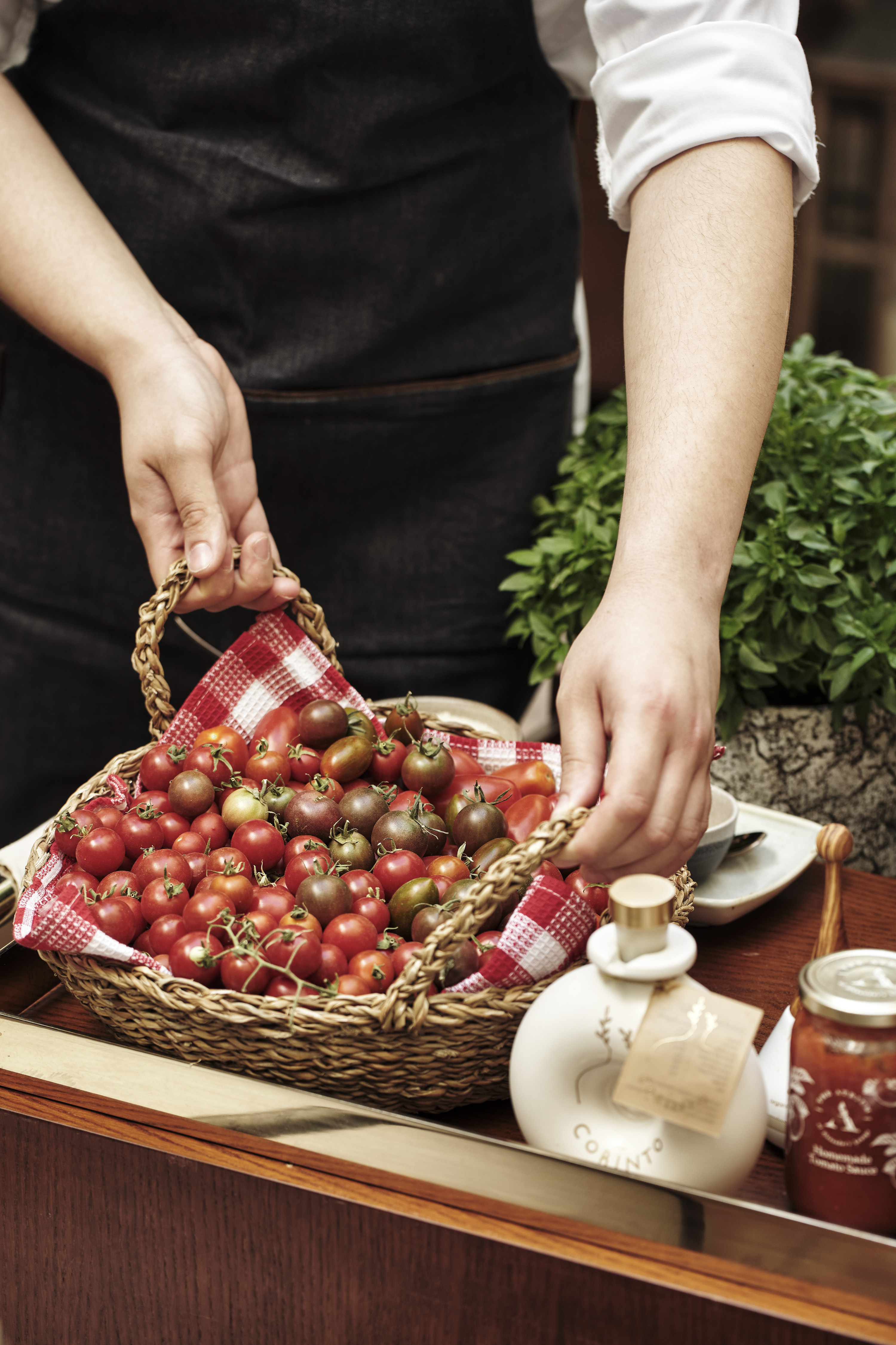 The Atrium of Alexander’s Lounge-2