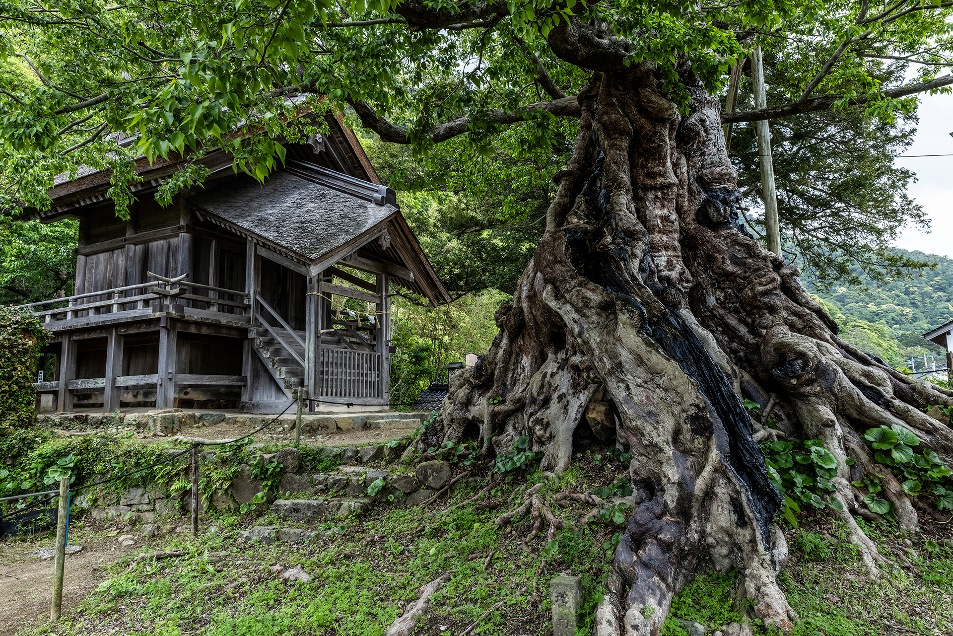 Τι έκανε ένας Ελληνοϊρλανδός συγγραφέας στην Ιαπωνία του 19ου αιώνα;-8