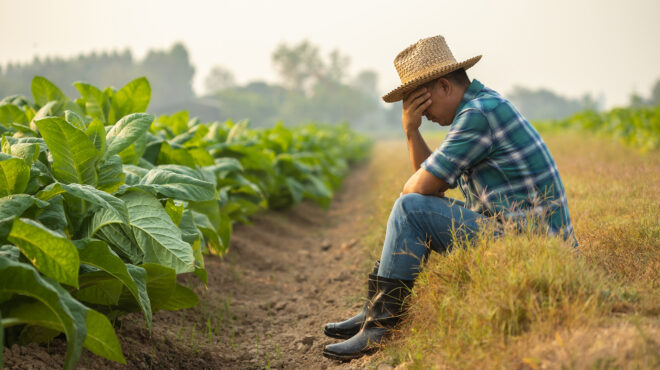 αγροτική-οικονομία-χωρίς-ανάσα-563825578