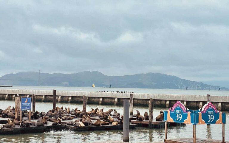 Δώδεκα μέρες και 3.500 χλμ. σε μια ακαταμάχητη γωνιά της Αμερικής-10