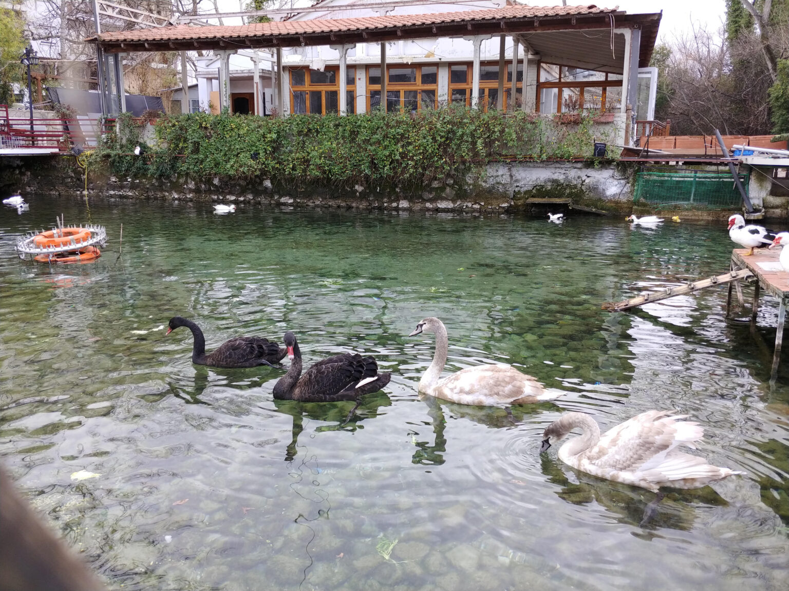 «Ανοίγει τις πόρτες του» το νέο Μουσείο Φωτογραφικών Μηχανών στη Δράμα-2