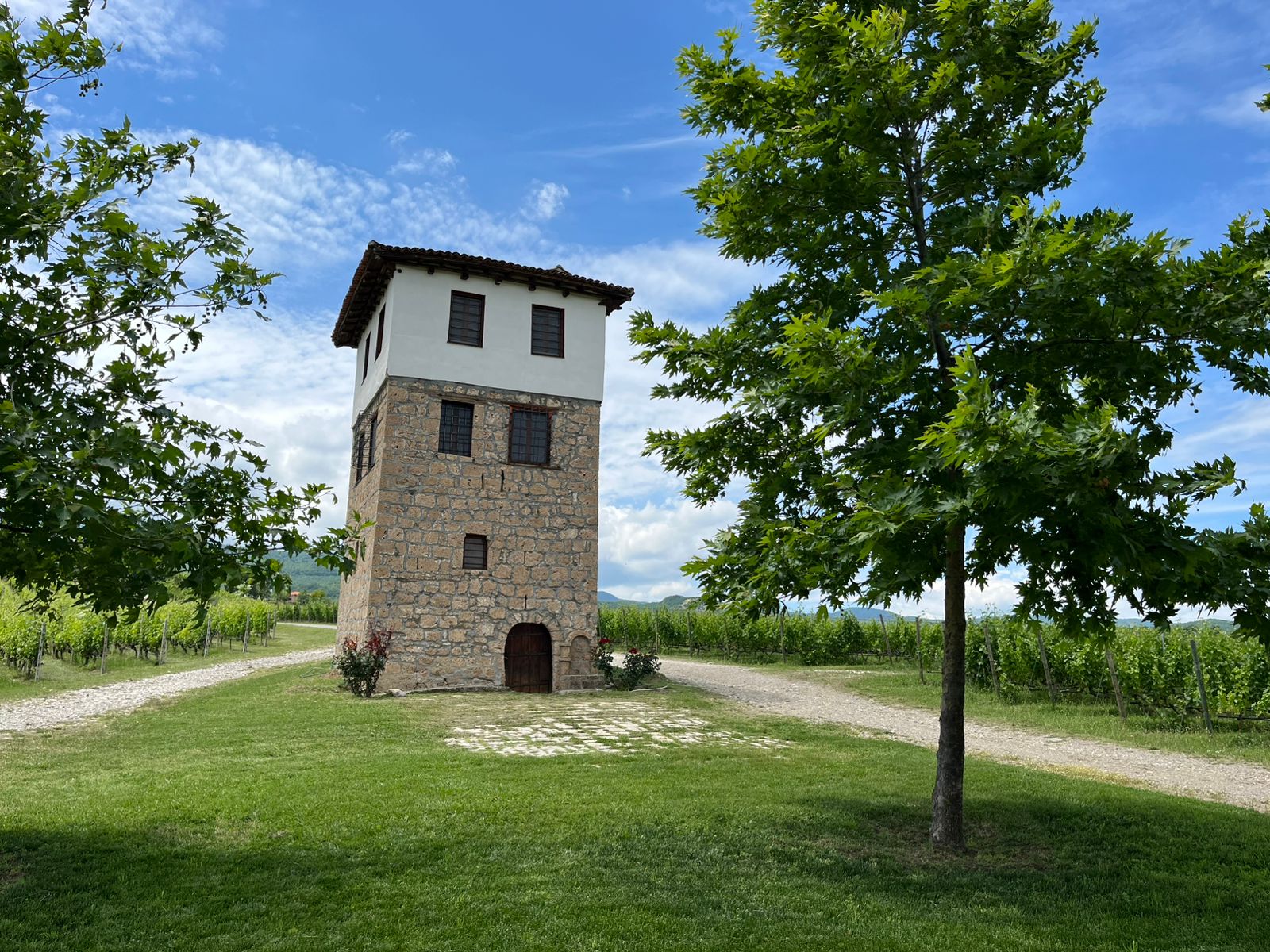Η πολύτιμη παρακαταθήκη του Κυρ-Γιάννη στον τρύγο και όχι μόνον-4