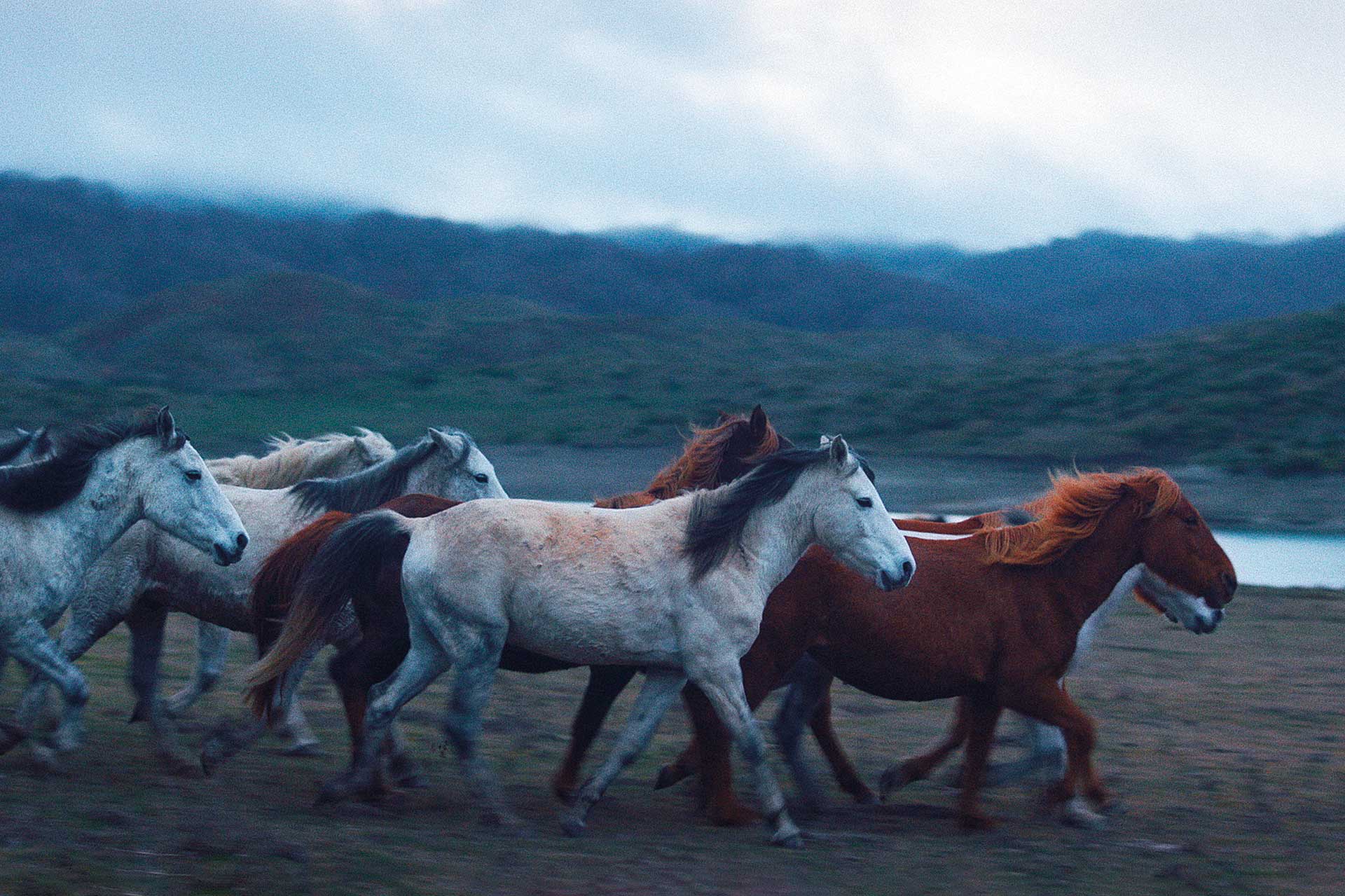 Μεγάλα όνειρα, μικρές ταινίες-5