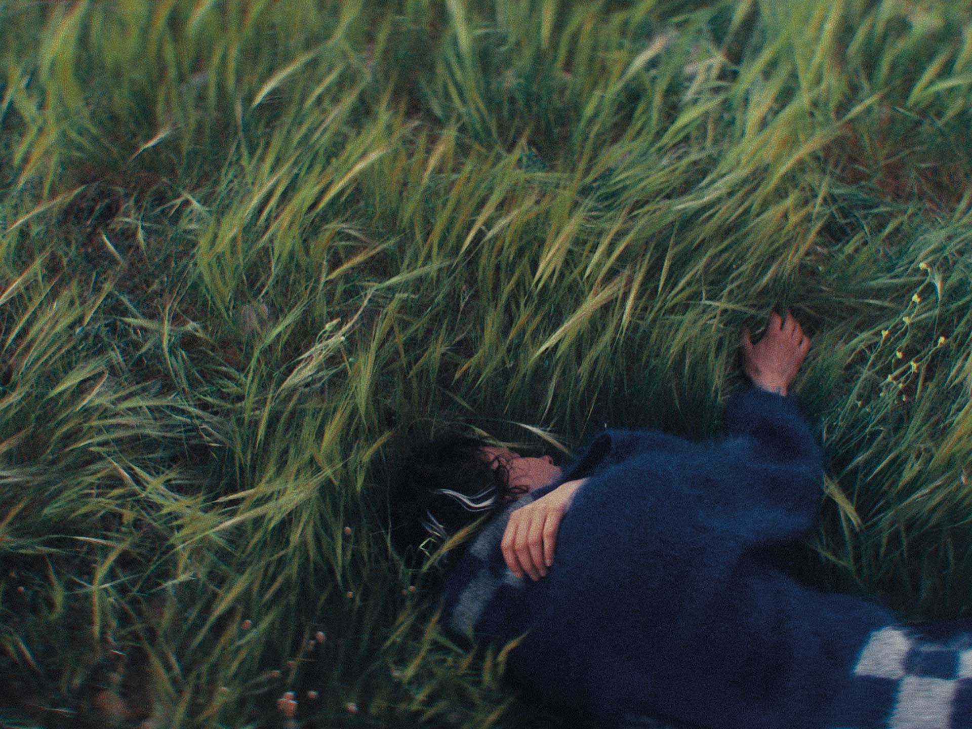 Μεγάλα όνειρα, μικρές ταινίες-6