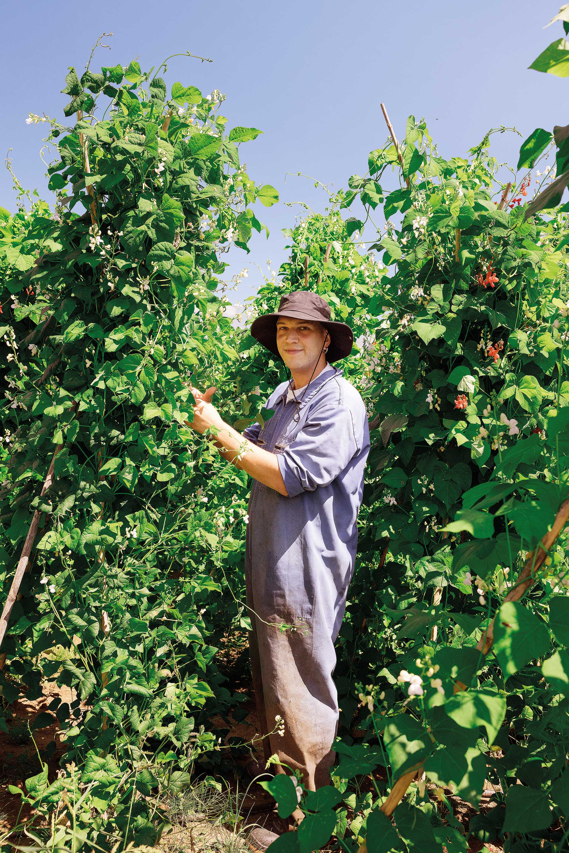 Ιστορίες από τους Ακρίτες: Κρασί, αρκούδες και εμφύλιος-2