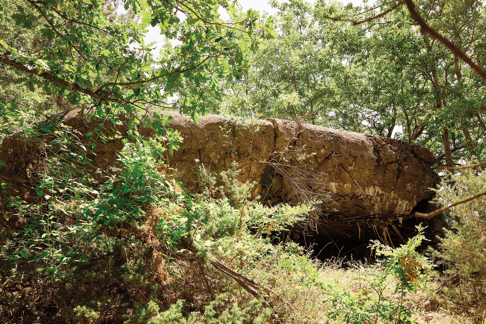 Ιστορίες από τους Ακρίτες: Κρασί, αρκούδες και εμφύλιος-5