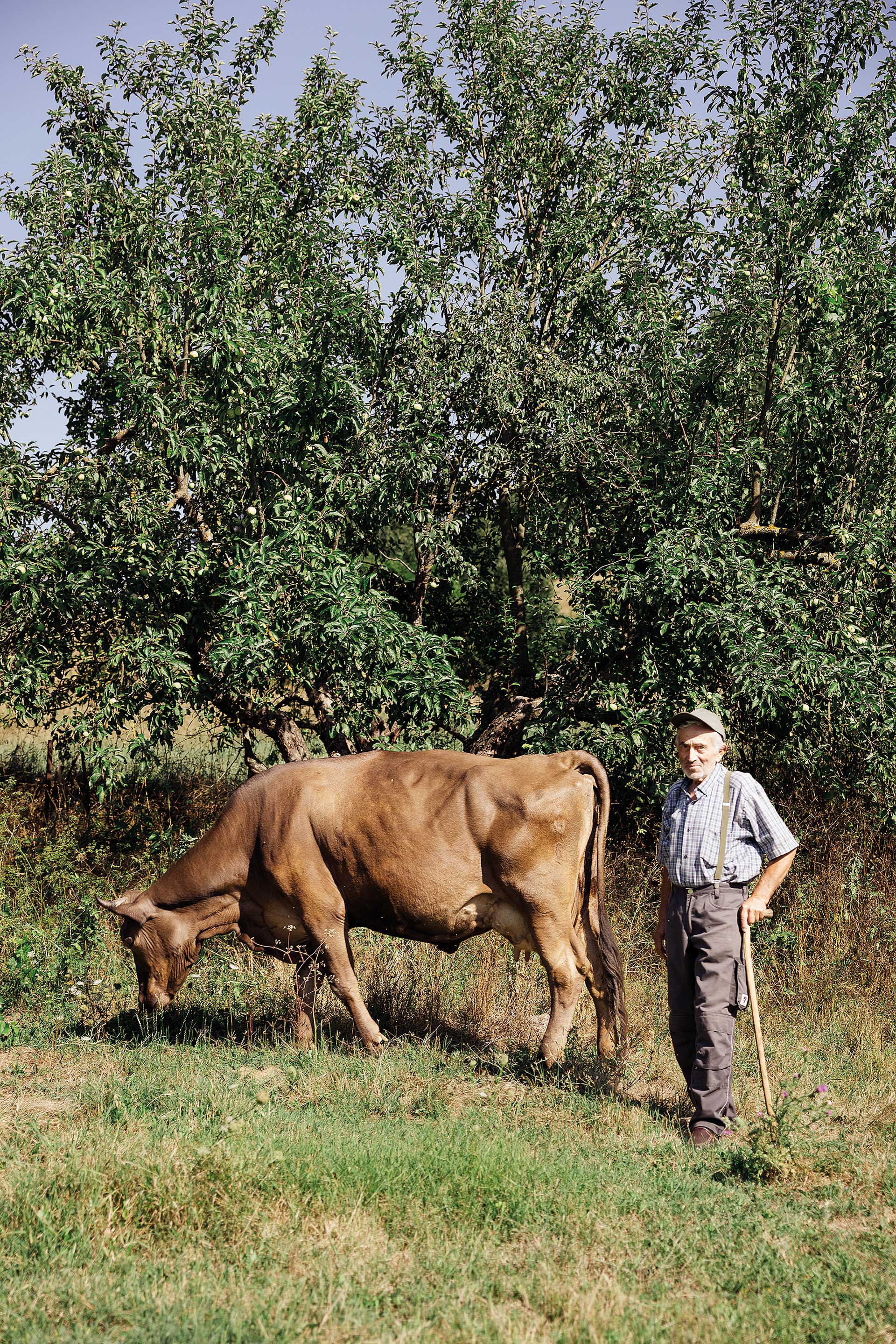 Ιστορίες από τους Ακρίτες: Κρασί, αρκούδες και εμφύλιος-7