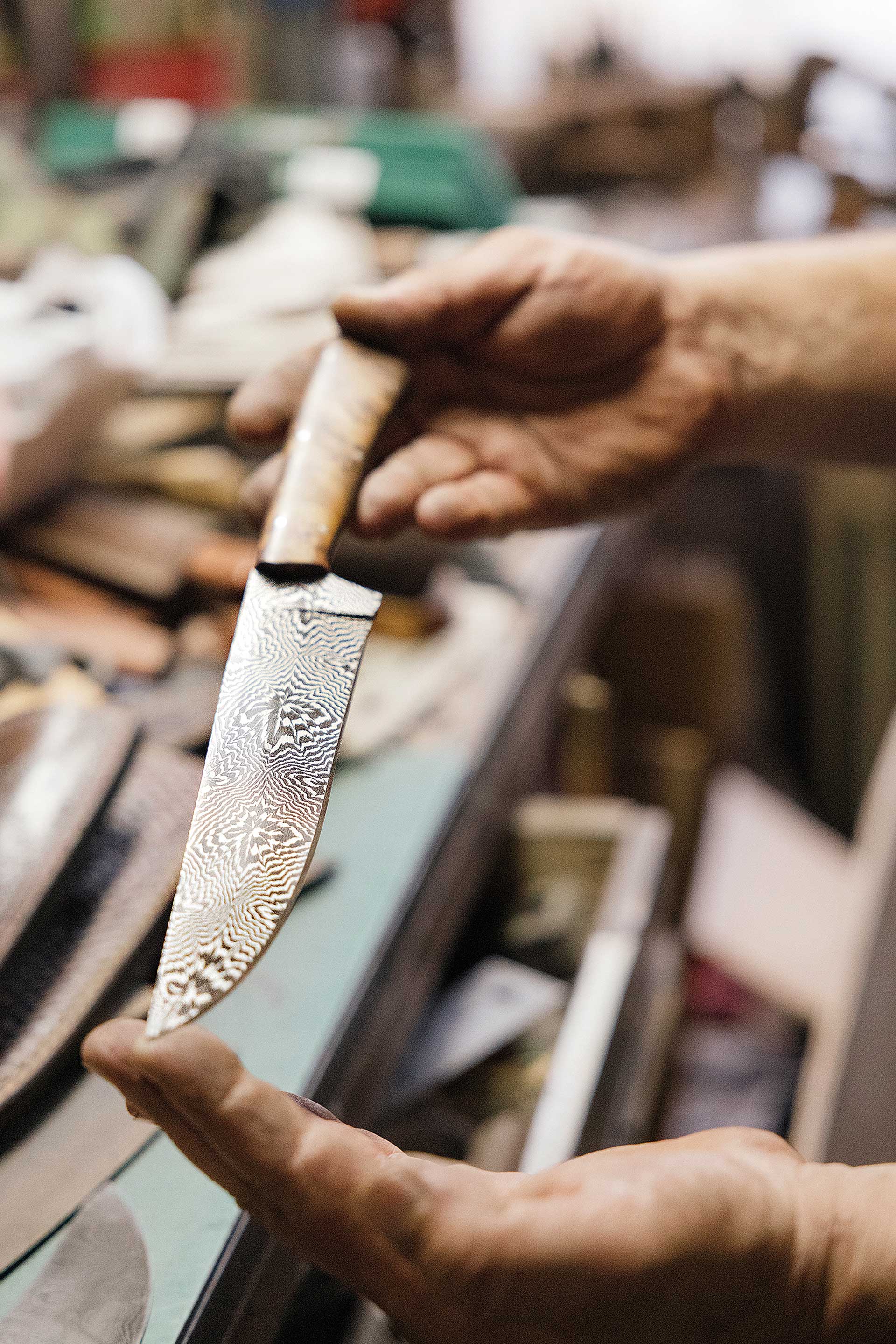 Ιστορίες από τους Ακρίτες: Κρασί, αρκούδες και εμφύλιος-8