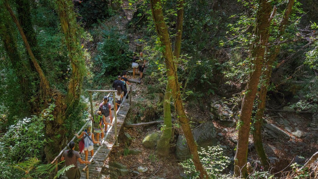 η-επόμενη-μέρα-του-ανατολικού-πηλίου-μ-563826802