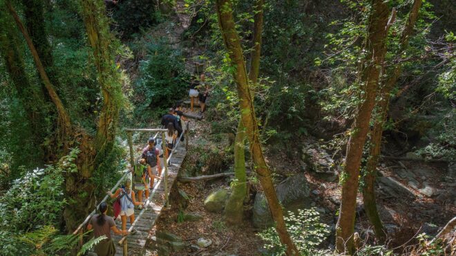 η-επόμενη-μέρα-του-ανατολικού-πηλίου-μ-563826802