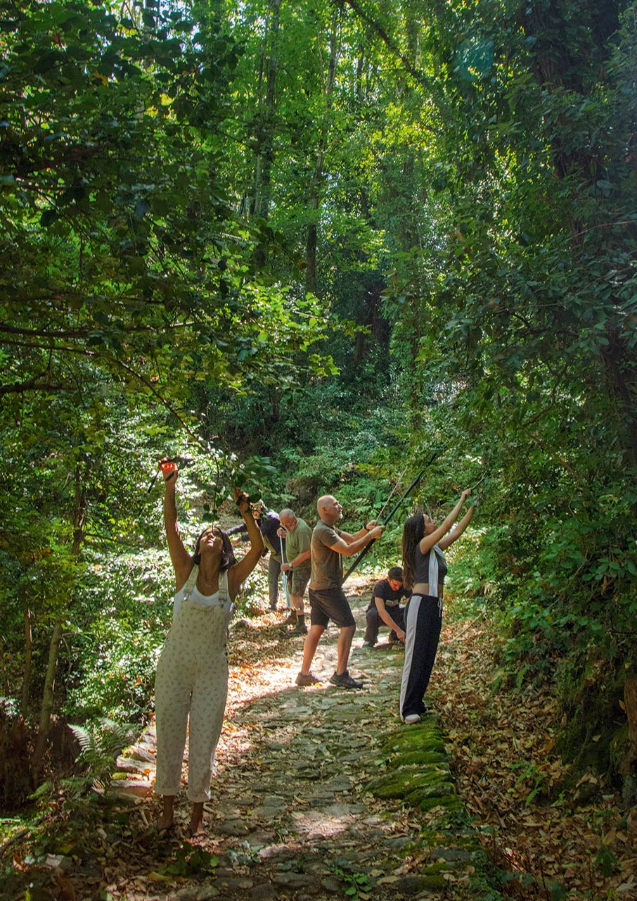 Η επόμενη μέρα του Ανατολικού Πηλίου μετά την κακοκαιρία Ντάνιελ-4