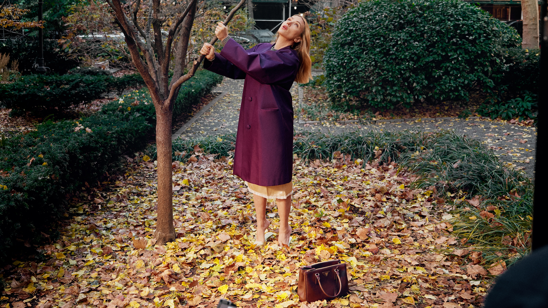 ο-γιώργος-λάνθιμος-σκηνοθετεί-τη-σκάρ-563818042