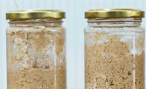 προζύμι-βασική-συνταγή-563812681